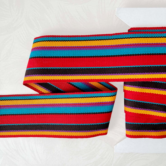 Striped_Webbing