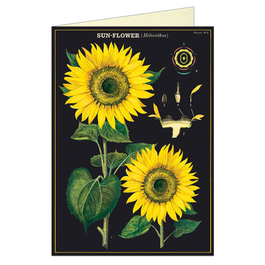 Sunflower Greeting Card