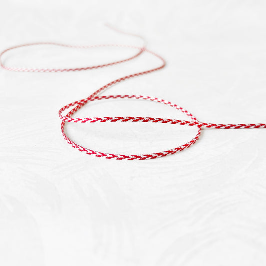 Two_Tone_Flat_Braid