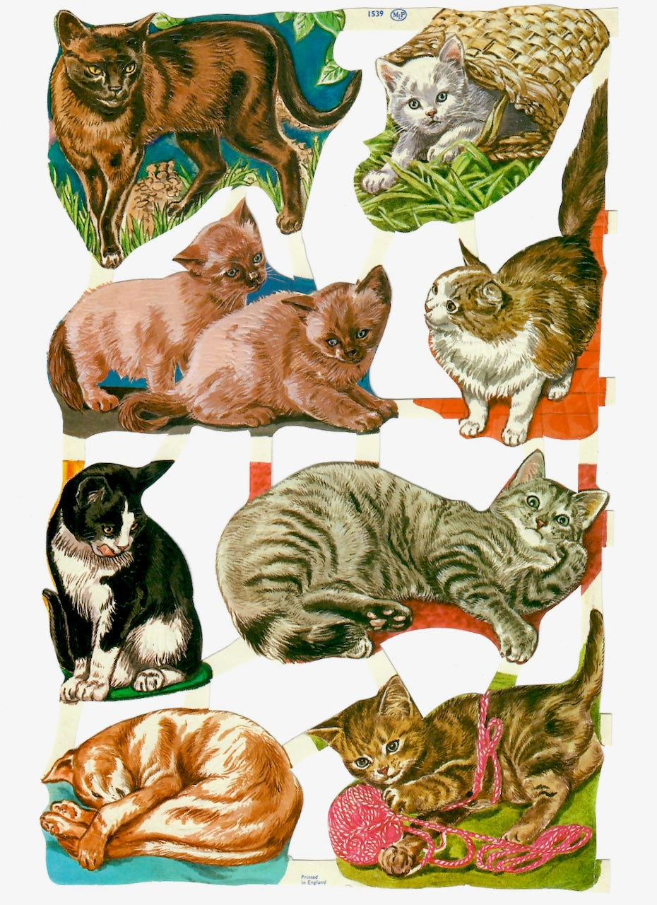 Vintage_Scrapbook_Pictures