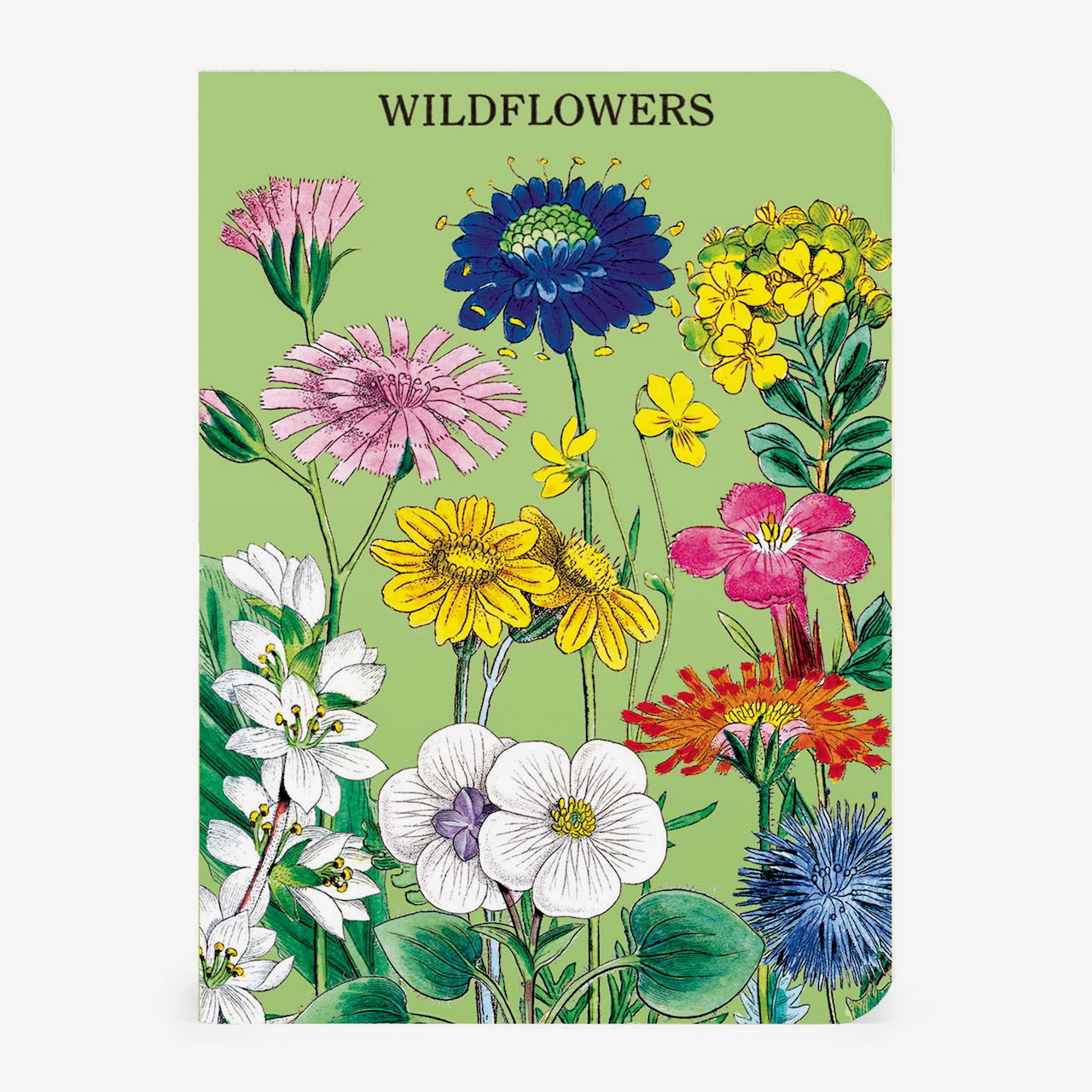 Wildflowers Mini Notebooks Set