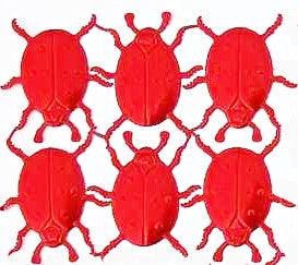 Ladybug, Dresden Trim