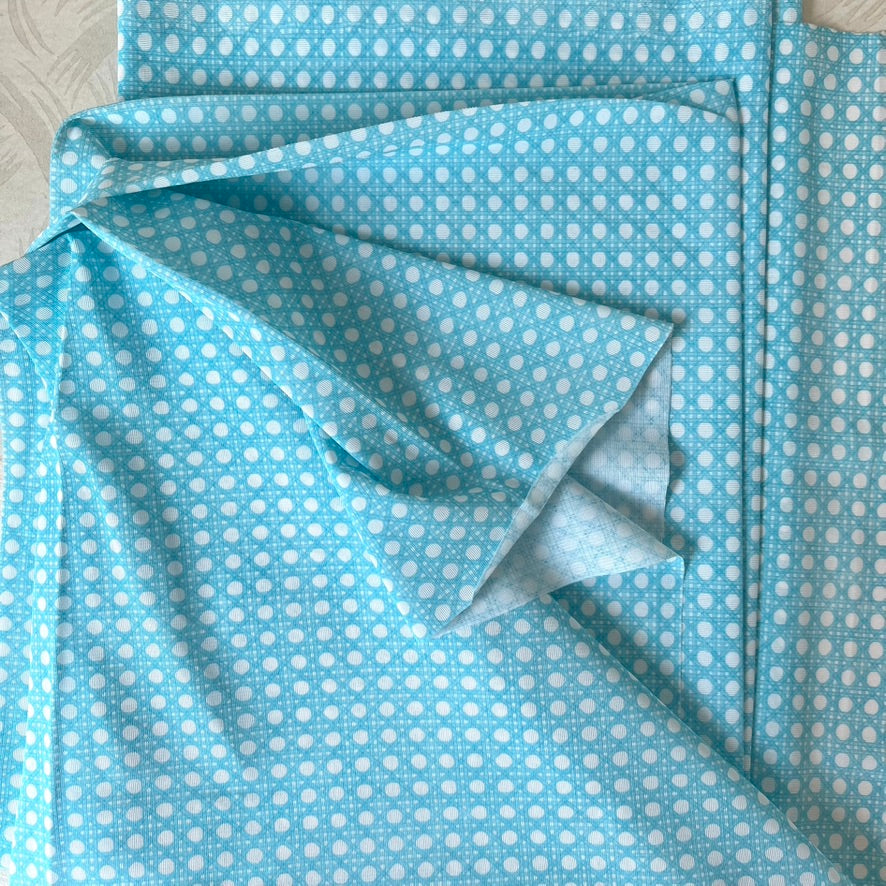 Light blue Cane Print Jersey Knit Fabric