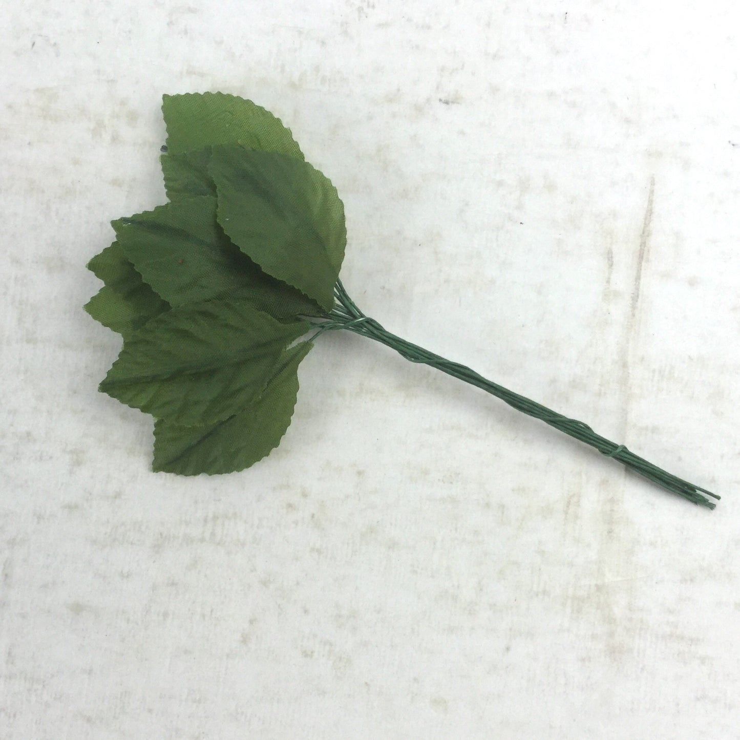 Silk Rose Leaves