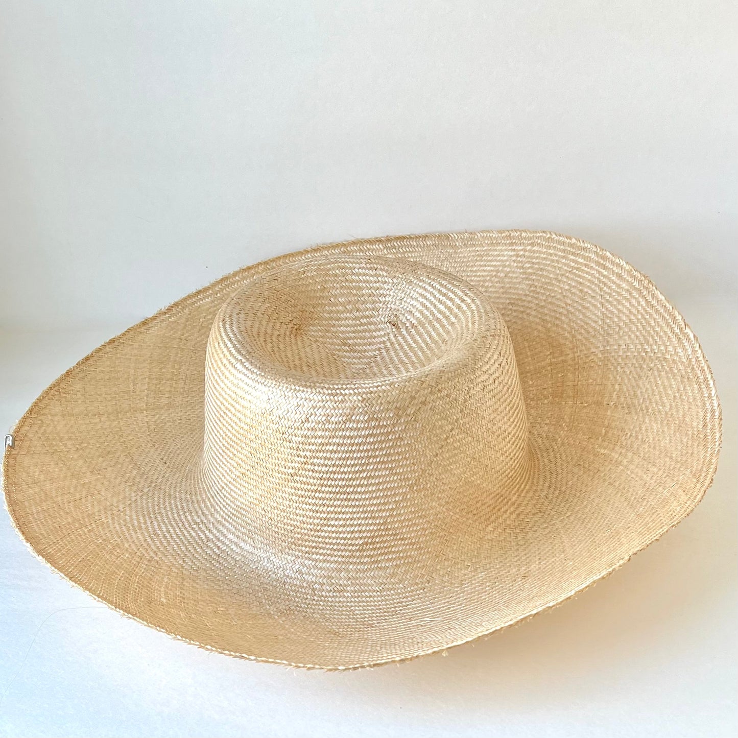 Parisisal Straw Blimp Body