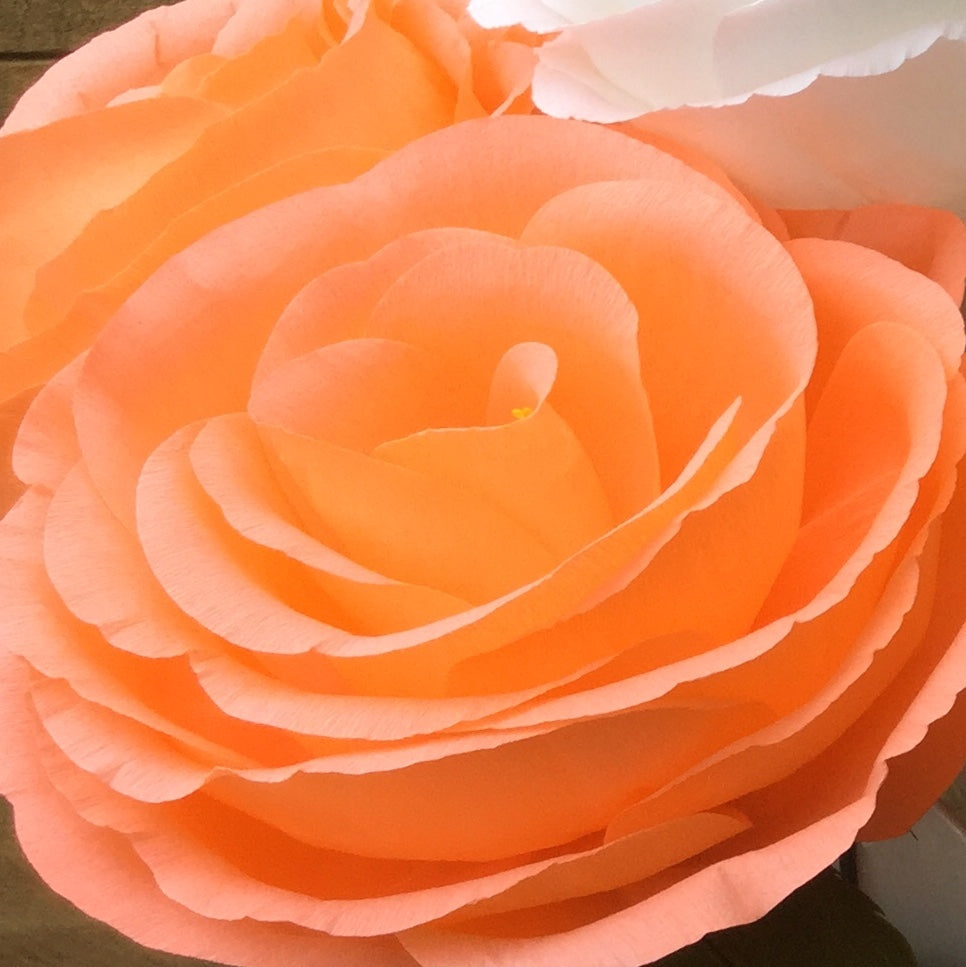 Giant Crepe Paper Rose Kit