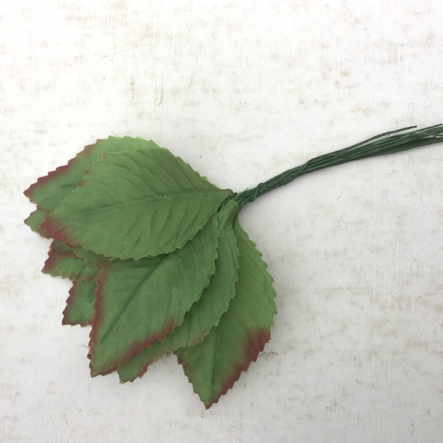 Silk Rose Leaves