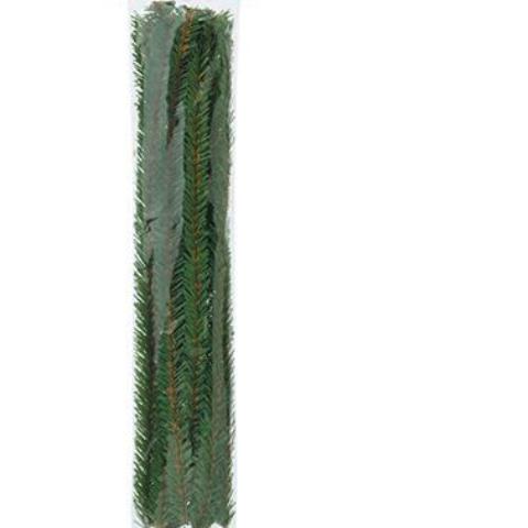 Canadian Pine Stems