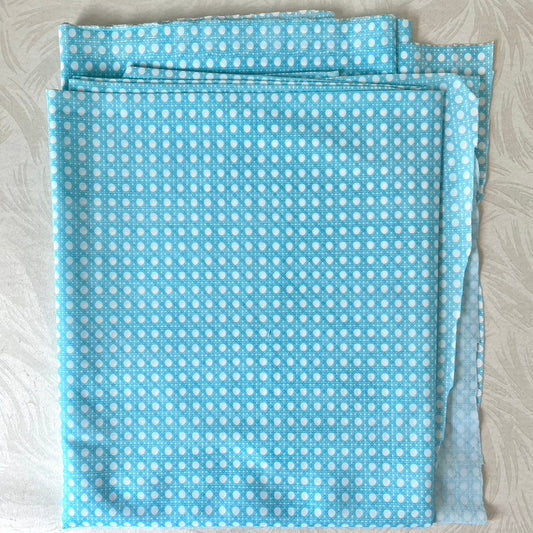 Light blue Cane Print Jersey Knit Fabric