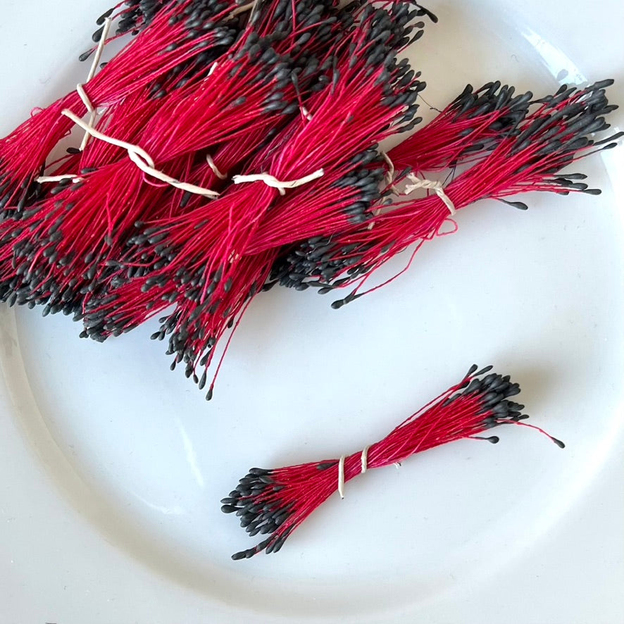 Fuchsia Flower Stamens
