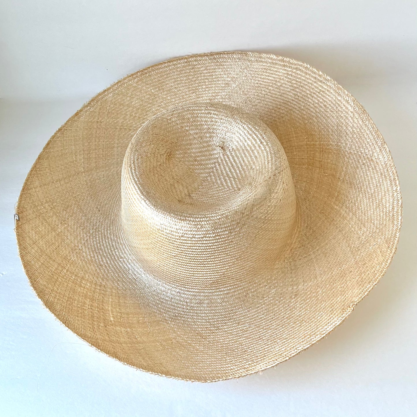 Parisisal Straw Blimp Body