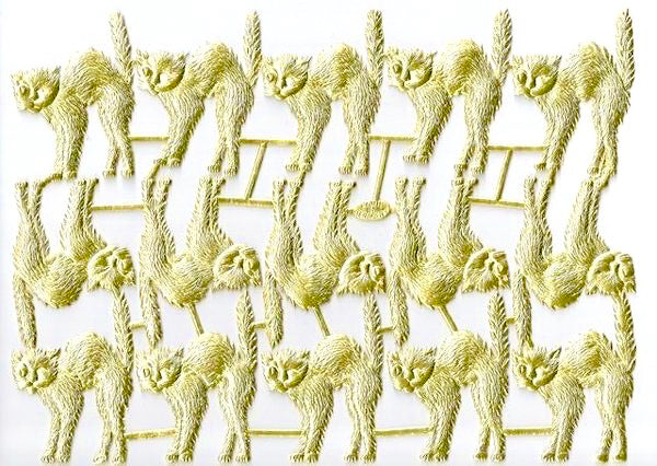 Scardy Cat, Dresden Trim