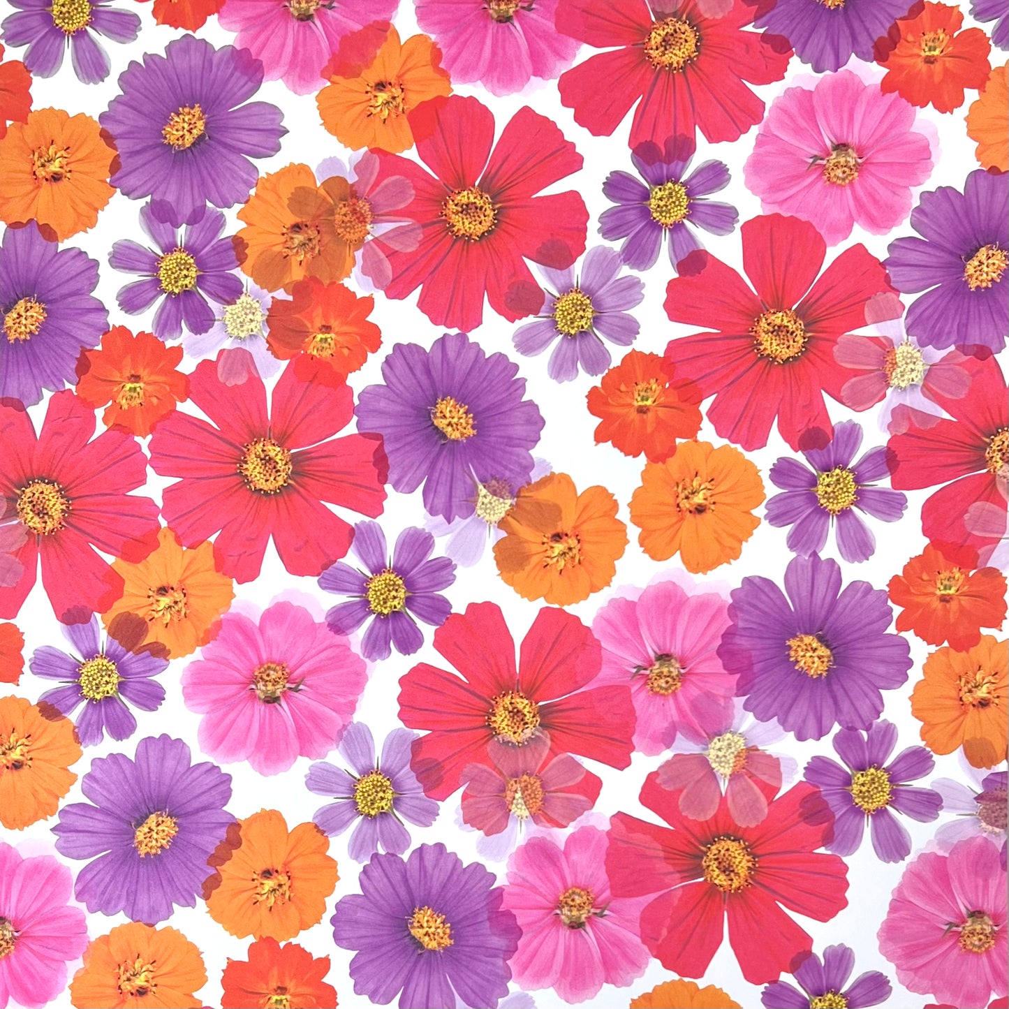 Flower Pop Cardstock - Scrapbook Papers