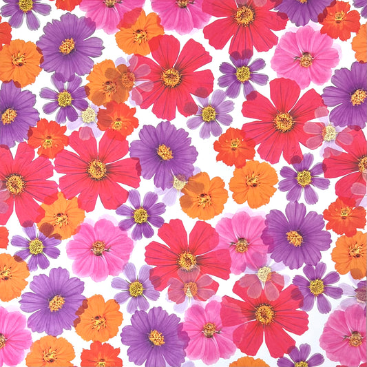Flower Pop Cardstock - Scrapbook Papers