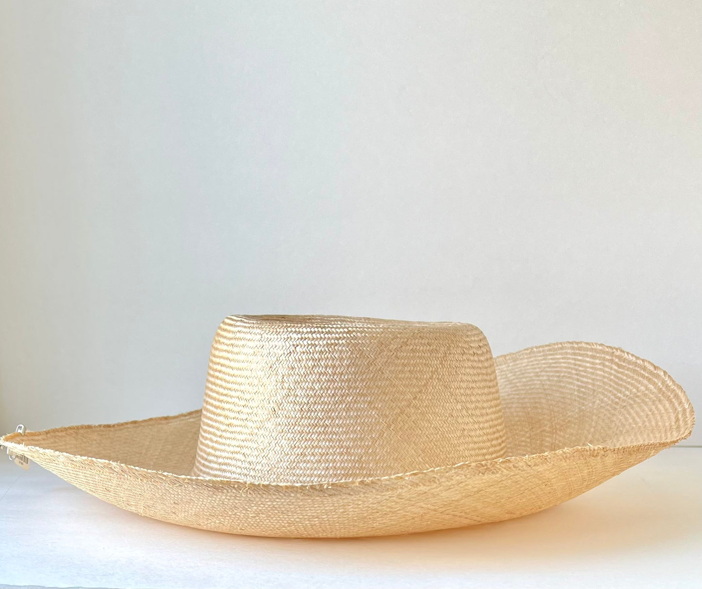 Parisisal Straw Blimp Body