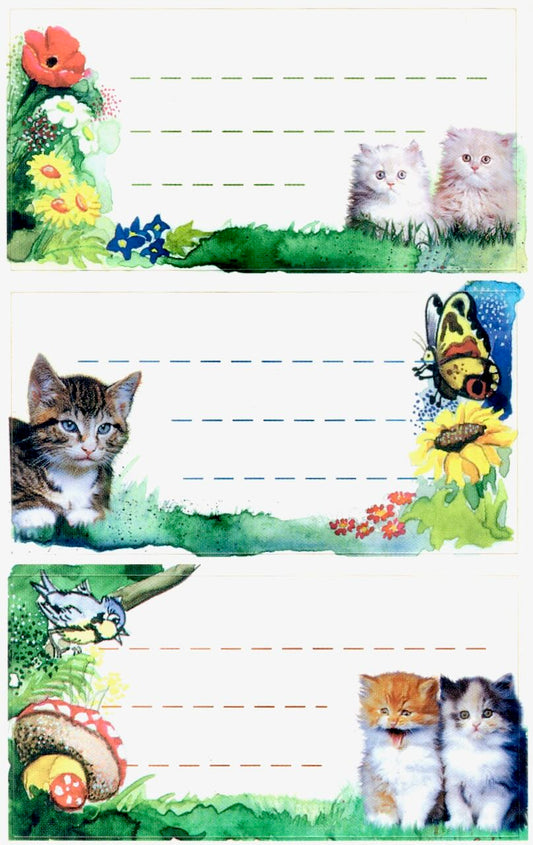 Cat_Labels