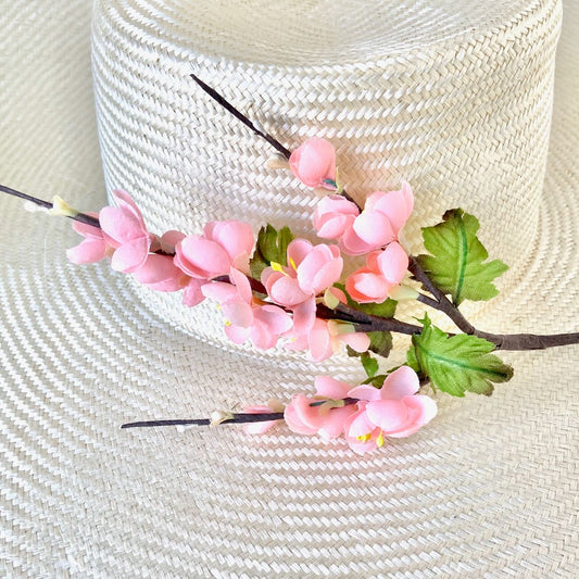 Cherry_Blossom