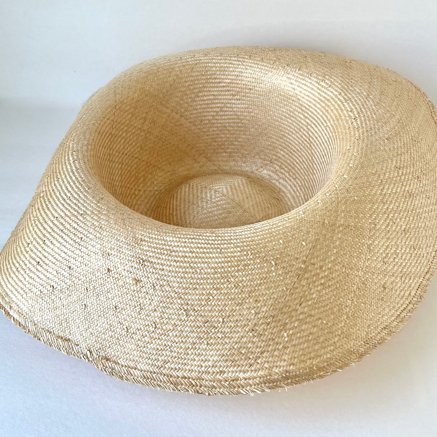 Parisisal Straw Blimp Body