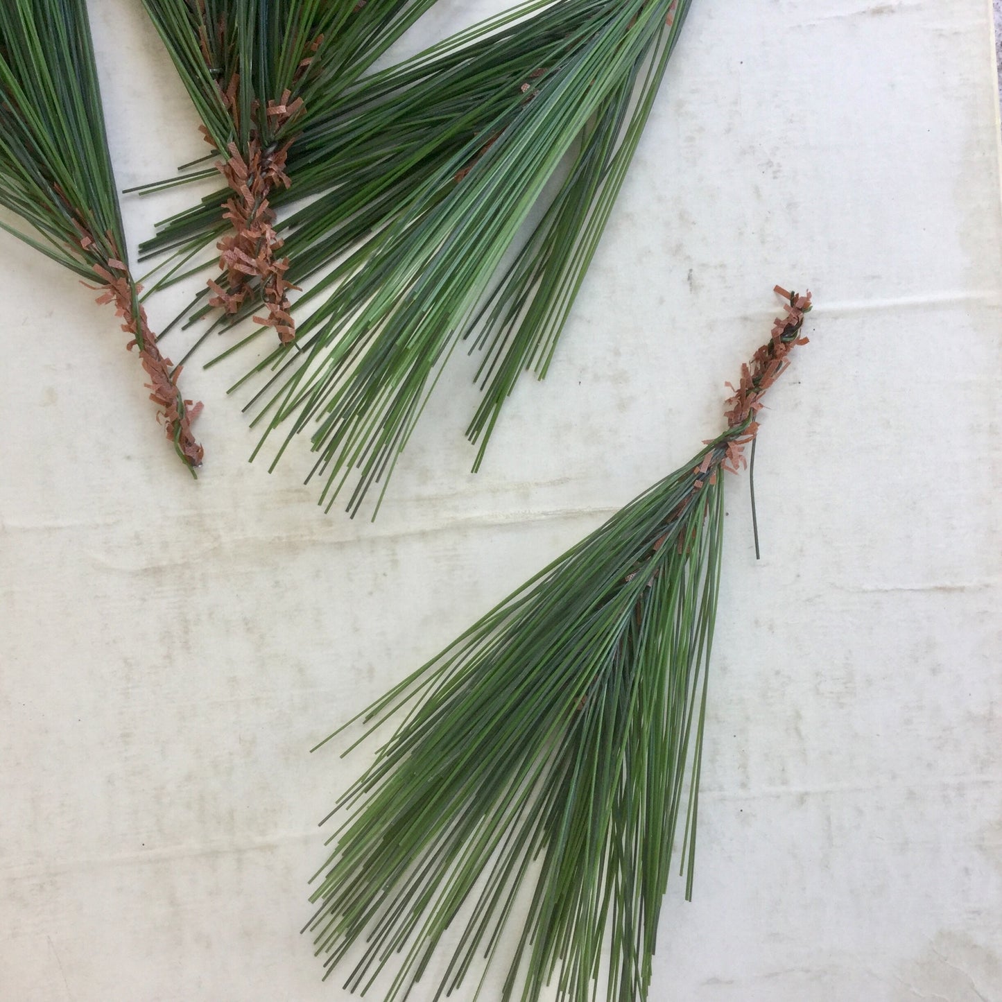 Retro Pine Sprig