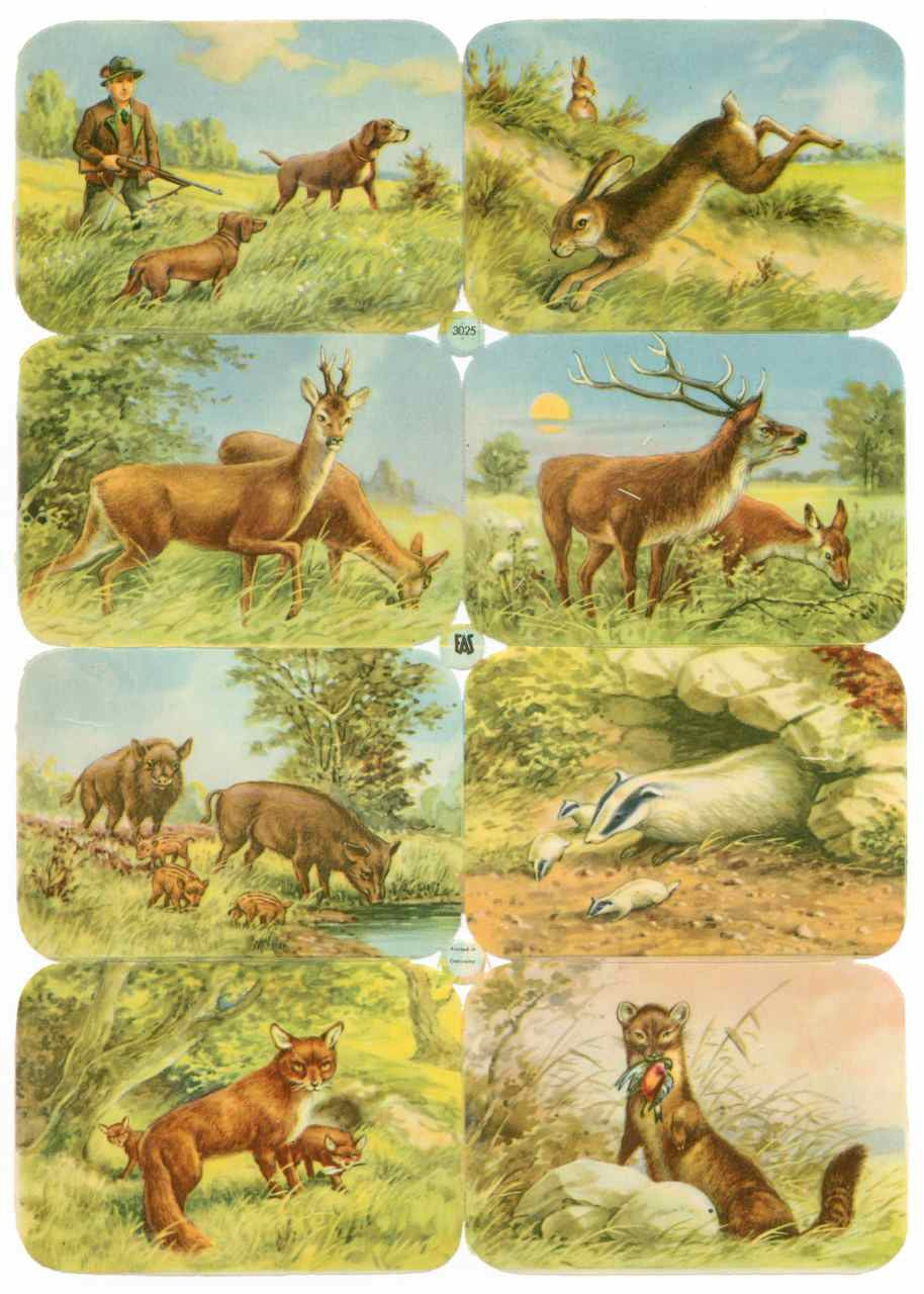 Scrapbook Pictures, Animals