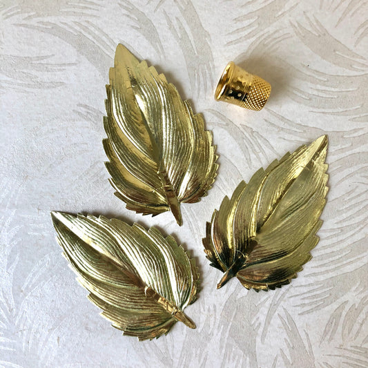 Hand Pressed Birch Leaves - Large