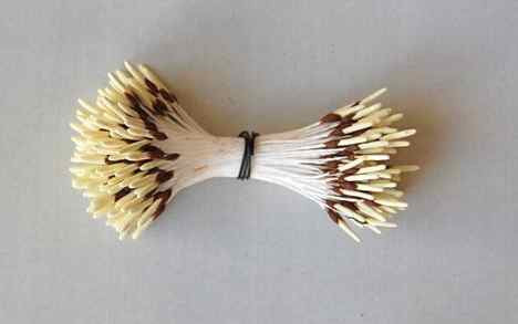 Long Yellow Tip With Brown Flower Stamens