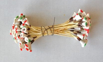 Poinsettia Flower Stamens