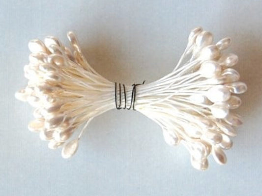 Pearl Lentil Flower Stamens