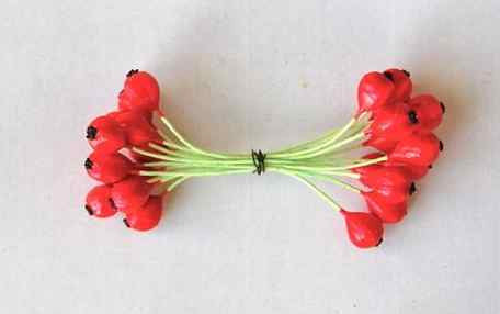 Vintage Red Berries