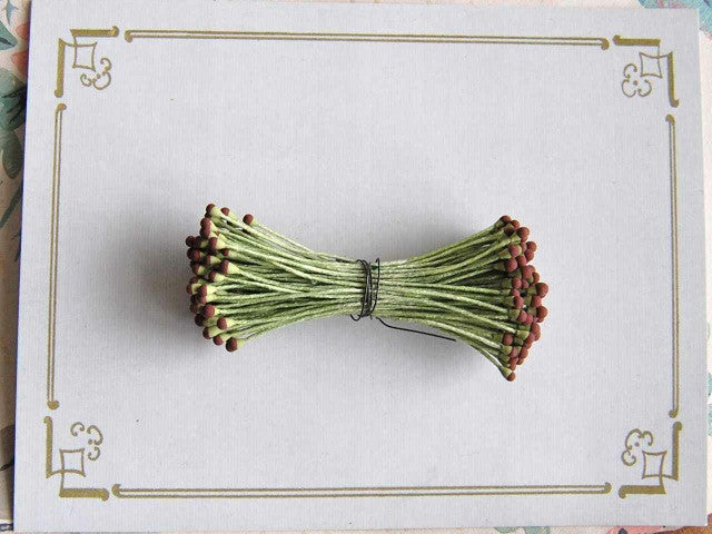 Two Color Tips, Flower Stamens