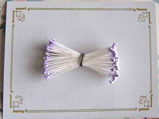 Two Color Tips, Flower Stamens
