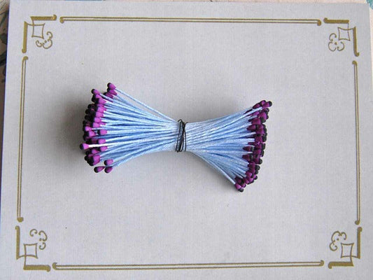 Two Color Tips, Flower Stamens