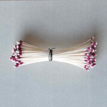 Two Color Tips, Flower Stamens