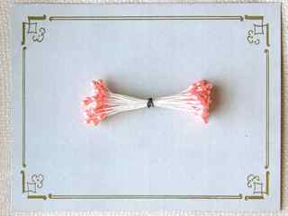 Pearl Pep Flower Stamens