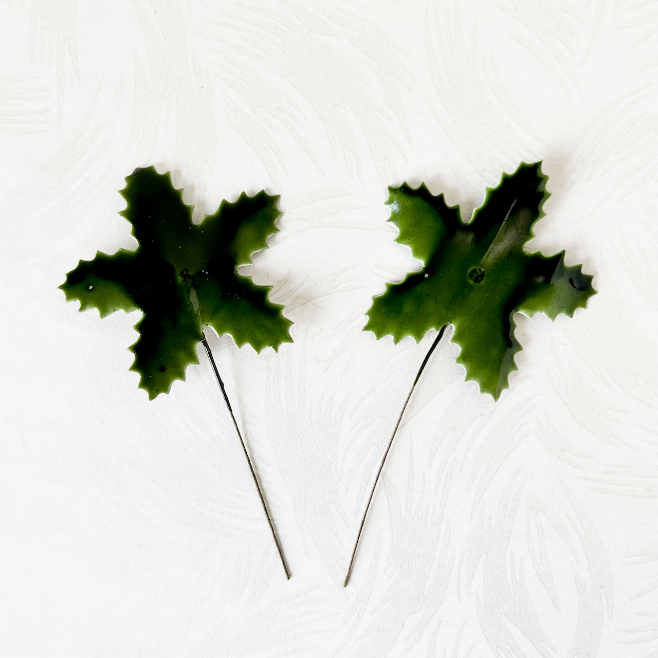 Five_Point_Holly_Leaves