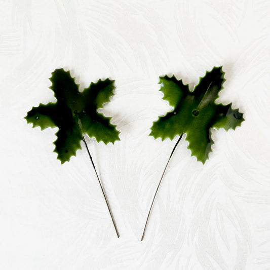 Five_Point_Holly_Leaves