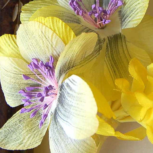 Anemone flower spray