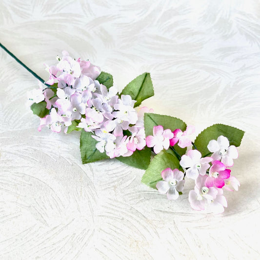 Forget_Me_Nots