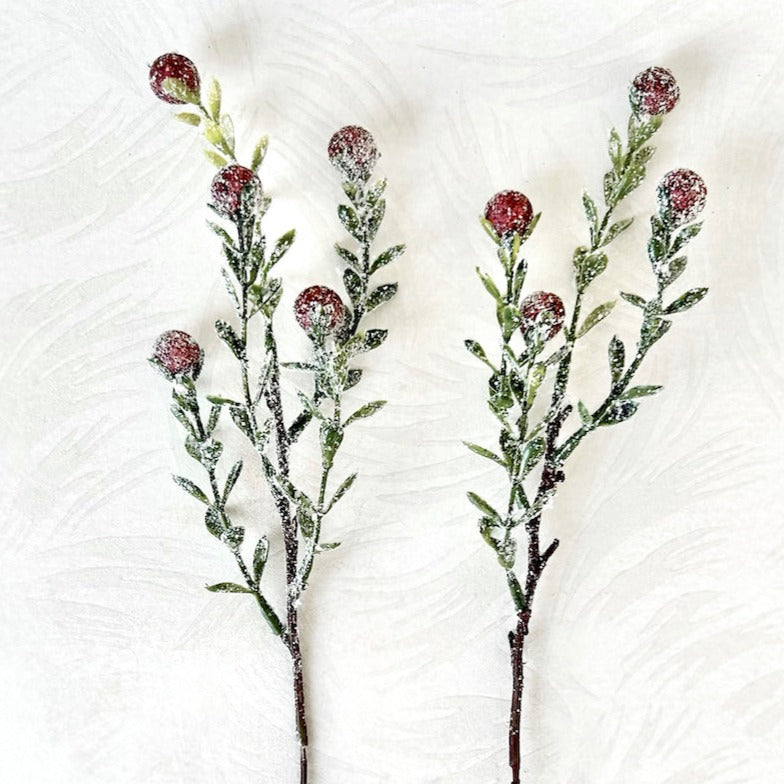 Frosted Berry Stems 
