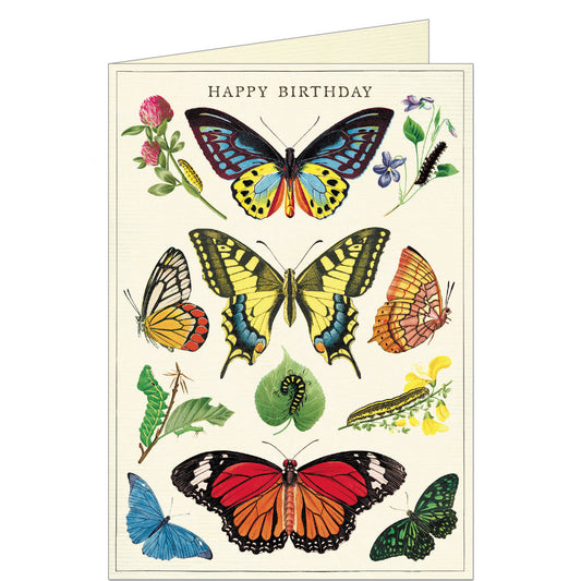 Happy Birthday Butterflies - Greeting Card