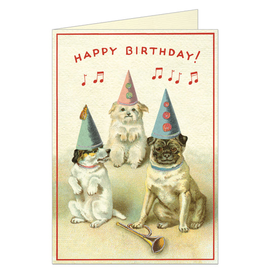 Happy Birthday Dogs - Greeting Card