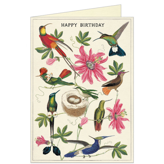 Hummingbirds Greeting Card