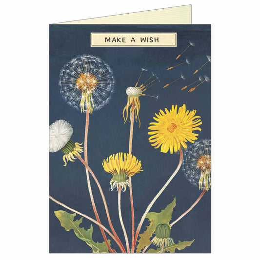 Make a Wish Greeting Card