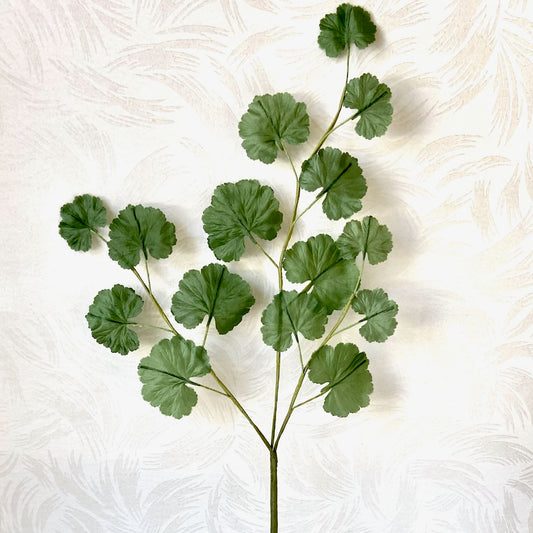 Geranium_Leaf_Branch