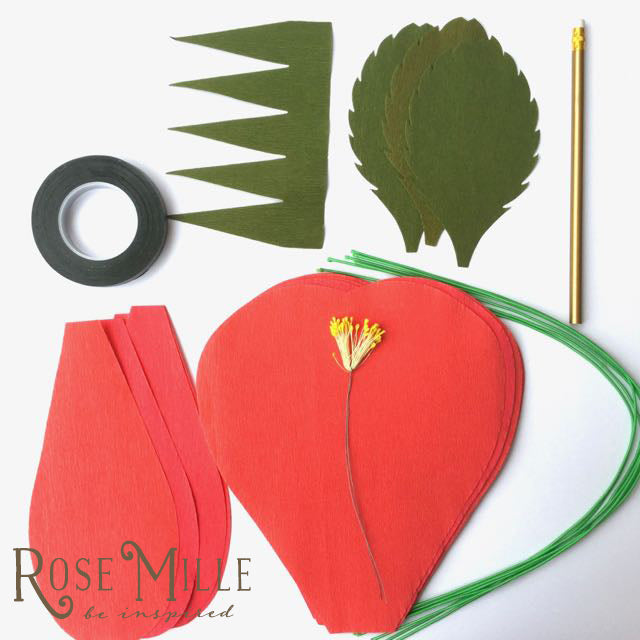 Giant Crepe Paper Rose Kit