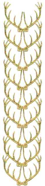 Gold_Dresden_Antlers