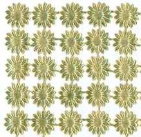 Daisy, Dresden Trim