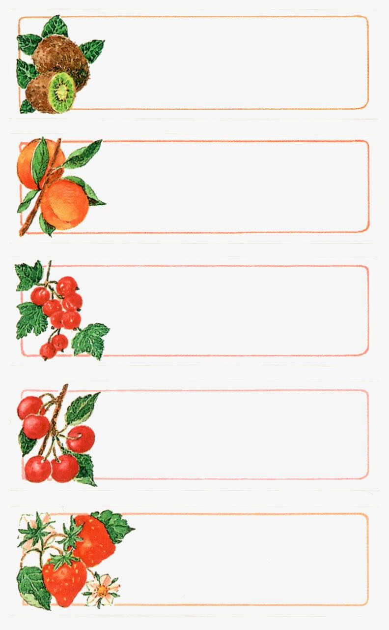 Household_Label_Stickers