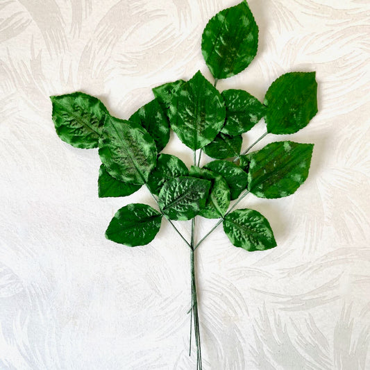 Leaf_Spray_Green
