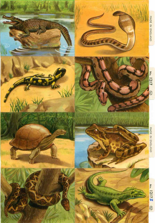 Scrapbook Pictures, Reptiles